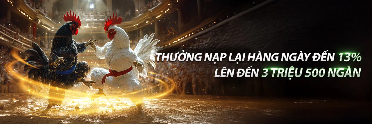 Sân vận động bóng đá với logo dom88 login